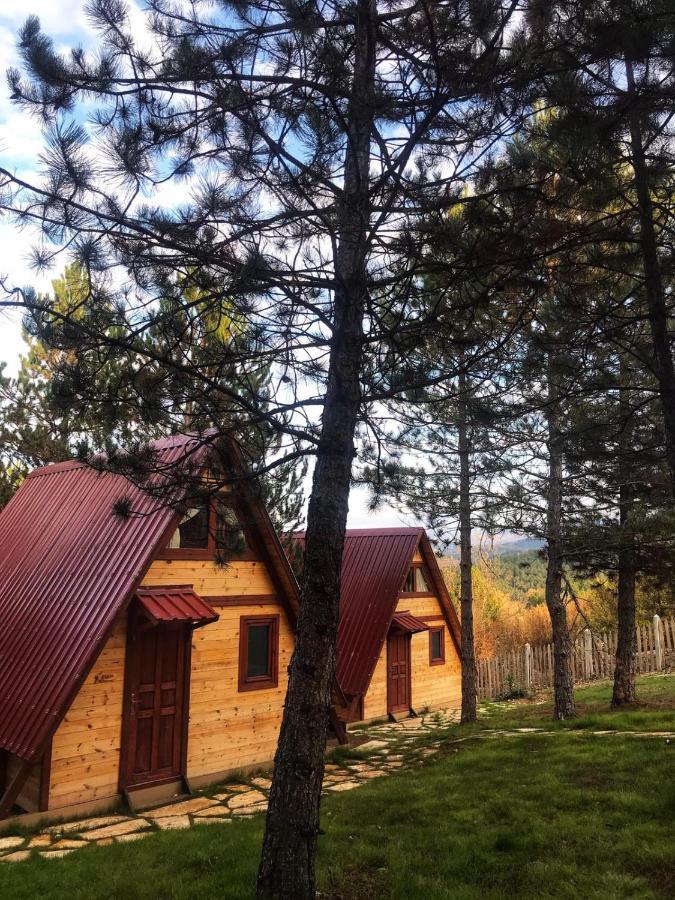 Fikri Atalay Konagi Bungalov Evleri Mengen Exterior foto